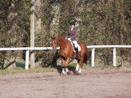 2017 Udkantscup dressur ØLR september